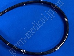 OLYMPUS Video Gastroscope