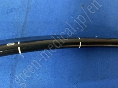 OLYMPUS Video Gastroscope
