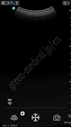 GE Healthcare 