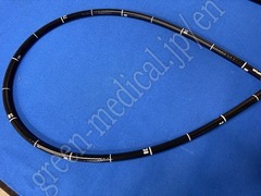 OLYMPUS Video Gastroscope