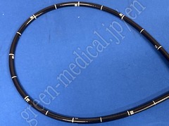 OLYMPUS Video Gastroscope