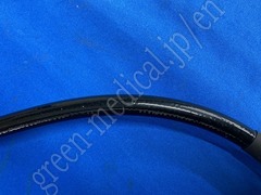 OLYMPUS Video Gastroscope