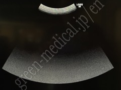 GE Healthcare 