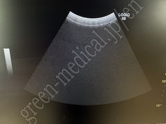 GE Healthcare 