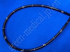 OLYMPUS Video Gastroscope