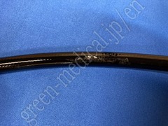 OLYMPUS Video Gastroscope