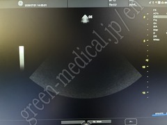 GE Healthcare 