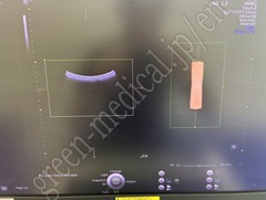 GE Healthcare Diagnostic Ultrasound System