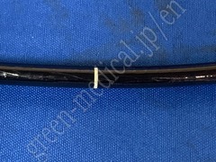 OLYMPUS Video Transnasal Gastroscope