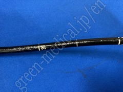 OLYMPUS Video Gastroscope