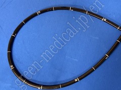 OLYMPUS Video Gastroscope