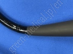 OLYMPUS Video Gastroscope