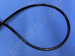 OLYMPUS Video Gastroscope
