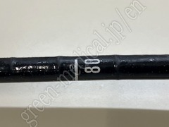 OLYMPUS Video Gastroscope