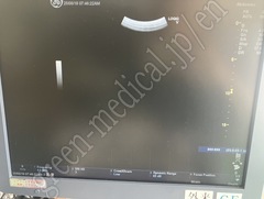 GE Healthcare 