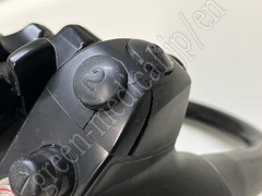 OLYMPUS Video Gastroscope