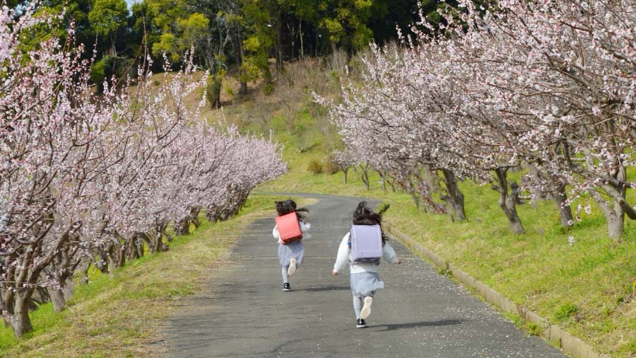 グリーンメディカルの社員が病院の担当者と和やかに打合せをしている